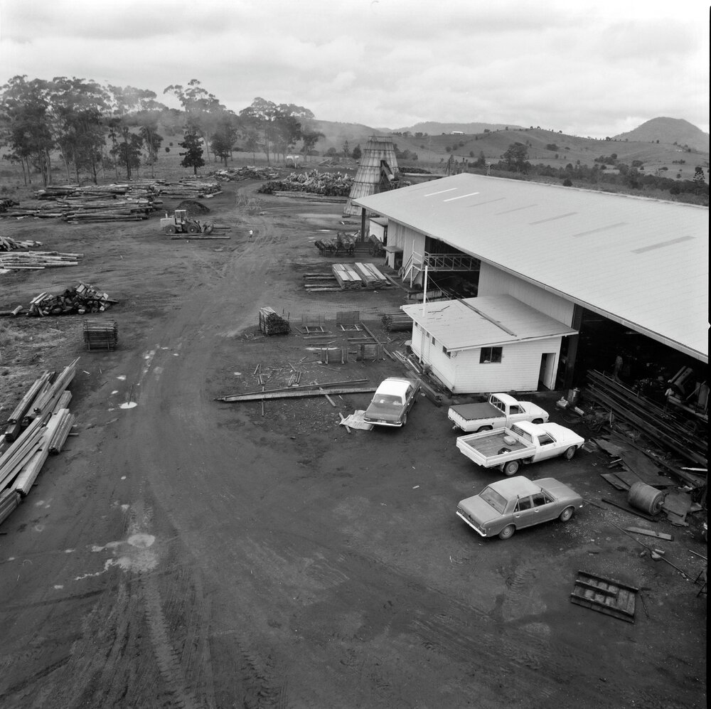 North Coast Sawmill, Cooroy, 5 October 1979