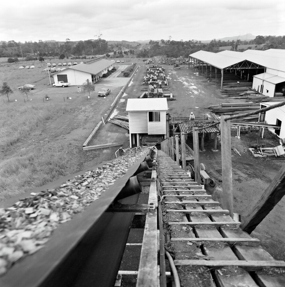 Conveyor, North Coast Sawmill, Cooroy, 5 October 1979