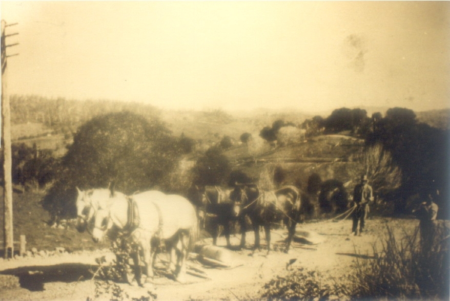 Frank Blanckensee with Edgar Playford Snr, Range Road, between Skyring Creek and Pomona, 1928