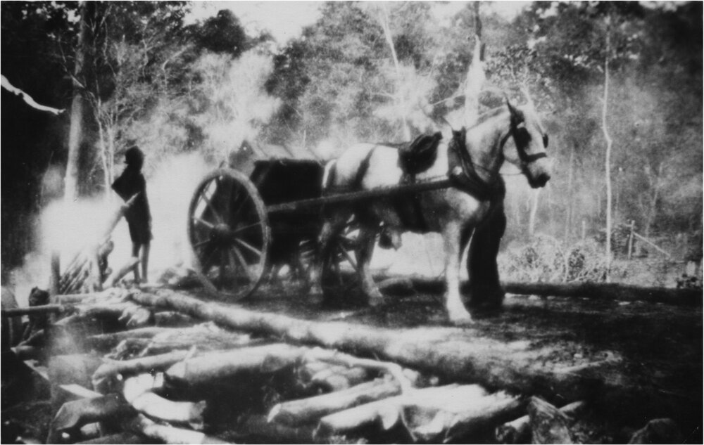 Quarry work, Eric Playford, Pomona quarry, Pomona, ca 1928