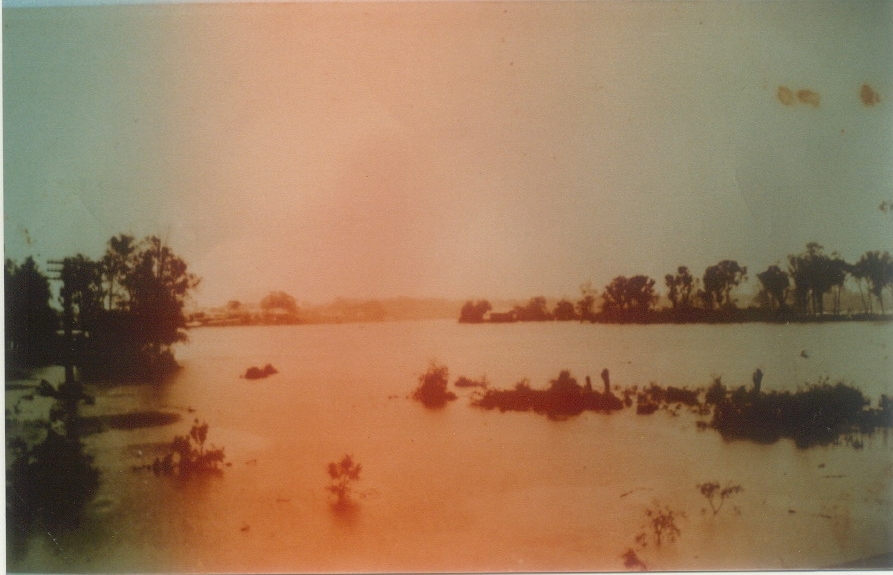Flooding, Hilton Terrace, Noosa River, Tewantin, ca 1930s