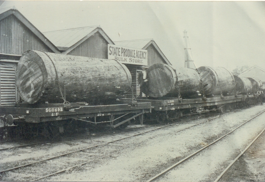 Bell's Tree logs, State Produce Agency, Roma Street Railway Yards, 1919