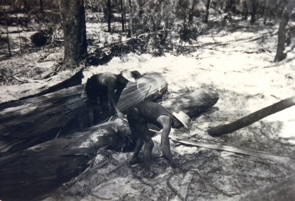 Timbergetting, Selwyn Beckmann with Ray Gibson, Noosa River, Cooloola, 1950s