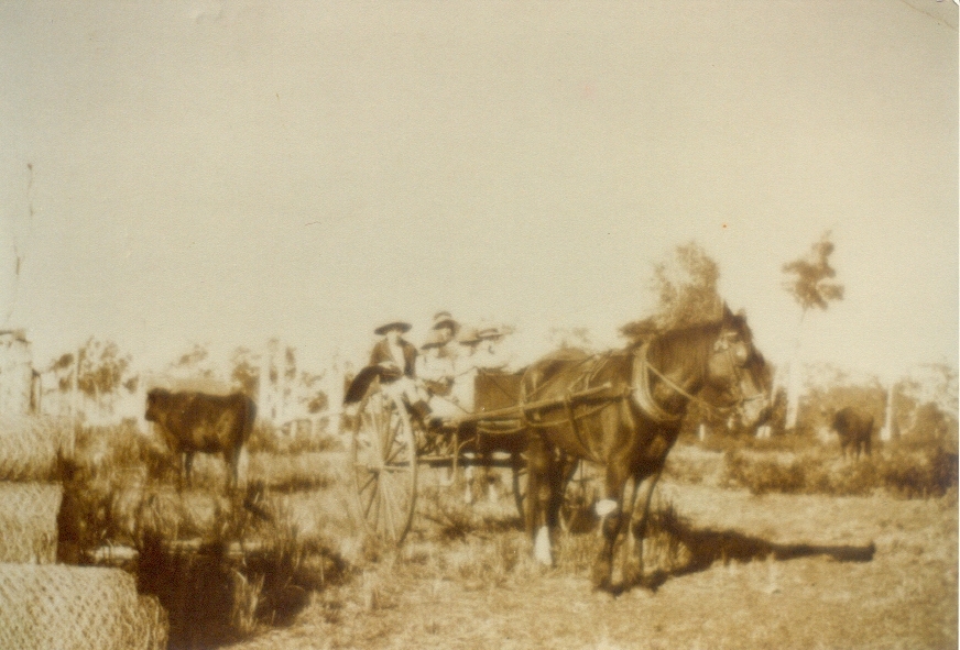 School transport, Boreen Point, 1920s