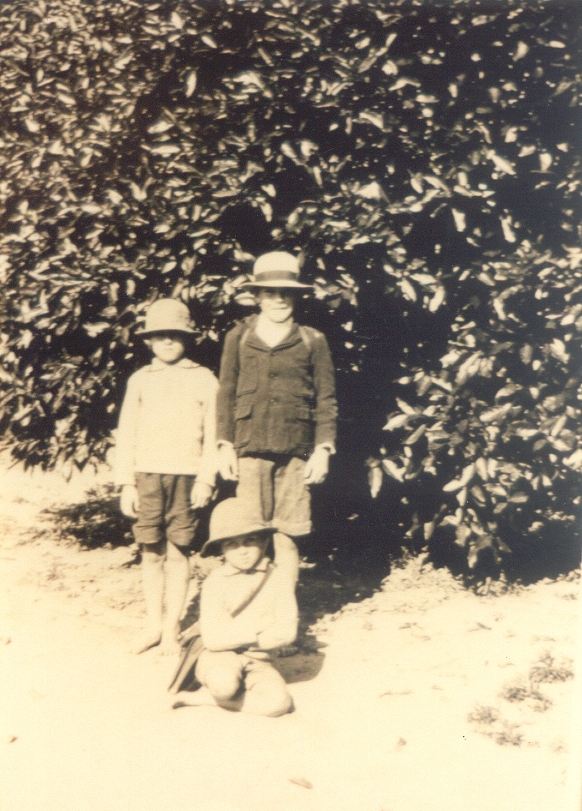 Informal portrait, Charlie, George and Steve Pederson, Boreen Point, 1927