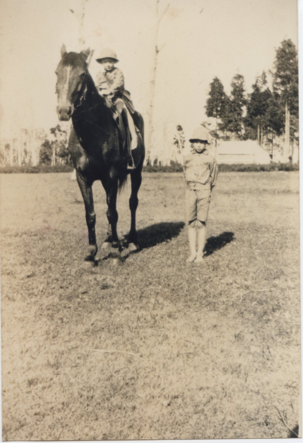 Steve and Charlie with 'Prince' (horse), Boreen Point, ca 1927