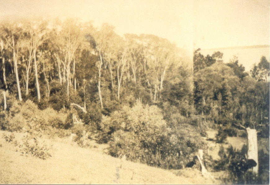 Lake views, Lake Cootharaba, Boreen Point, 1920s