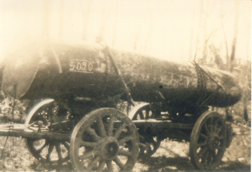 Loaded bullock wagon, Cootharaba, 1920s