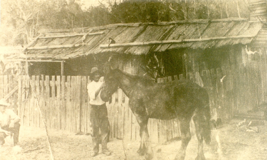 Lister Family dwelling, 'Day Dawn', Cootharaba, ca 1900