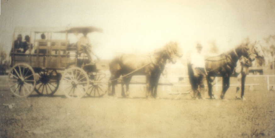 Mail and cream carrier, Gus Ruwoldt, Cootharaba, early 1900s
