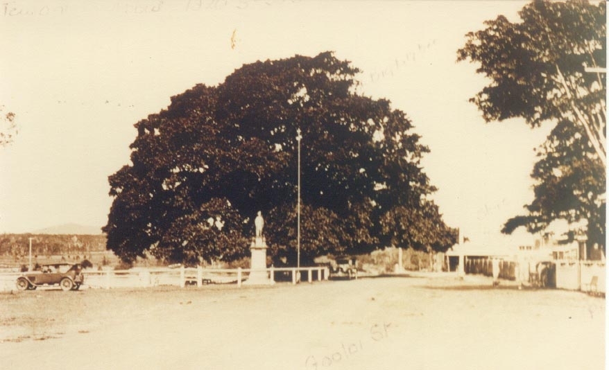 Tewantin Fig Tree and War Memorial, Gooloi Street, Tewantin, ca 1920s