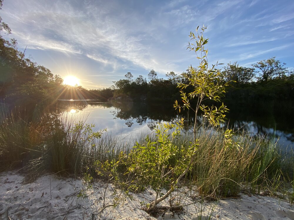 Sunset, Upper Noosa River, Great Sandy Recreation Area, Cooloola, 10 December 2025