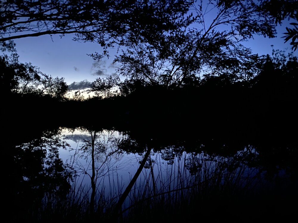 Evening views, Upper Noosa River, Great Sandy Recreation Area, Cooloola, 10 December 2025