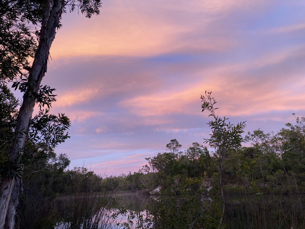 Sunrise, Upper Noosa River, Great Sandy Recreation Area, Cooloola, 11 December 2025