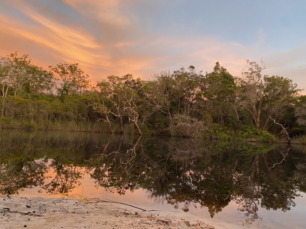 Sunrise and reflections, Upper Noosa River, Great Sandy Recreation Area, Cooloola, 11 December 2025