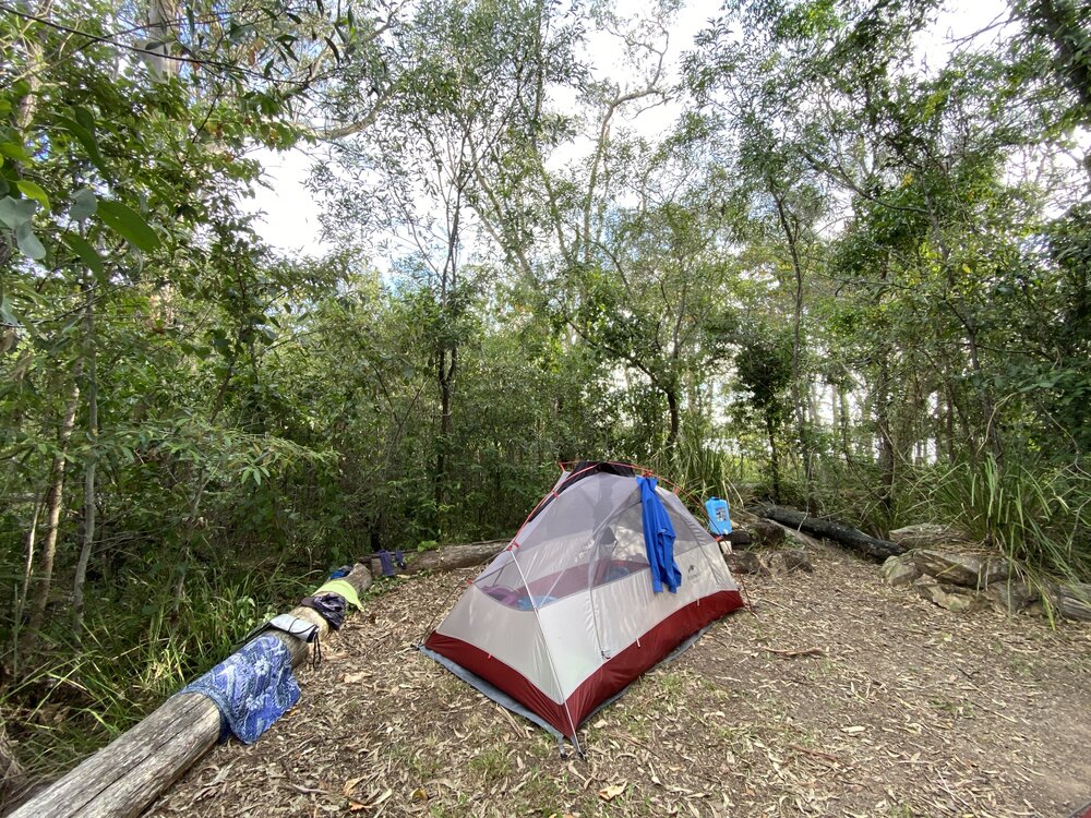 Campsite, Fig Tree Point, Noosa River,  Great Sandy National Park, Como, 11 December 2025
