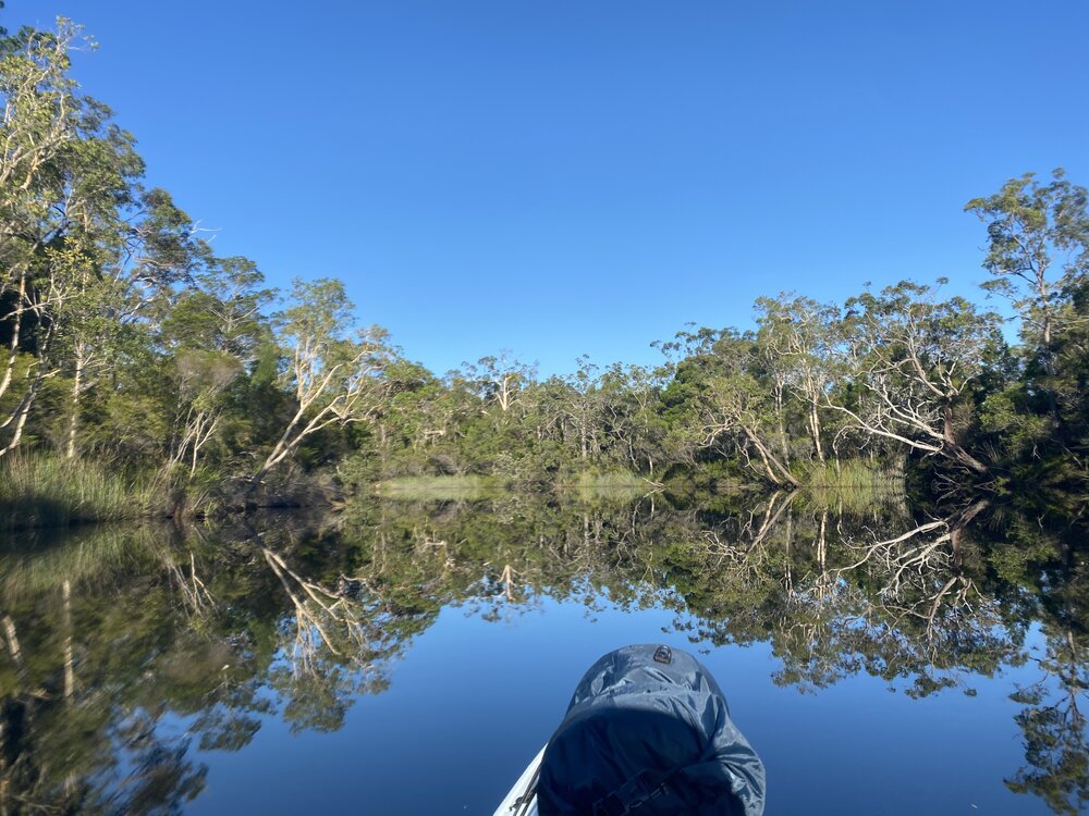 Kayaking, Noosa Everglades, Noosa River, Cooloola, 10 December 2025
