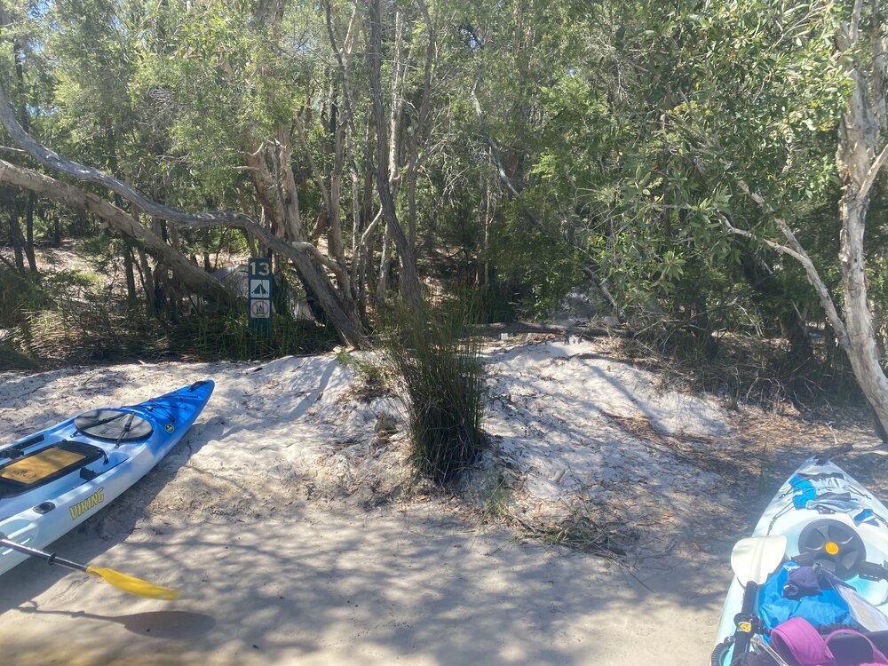 River access, campsite 13, Noosa River,  Great Sandy National Park, Cooloola, 10 December 2025