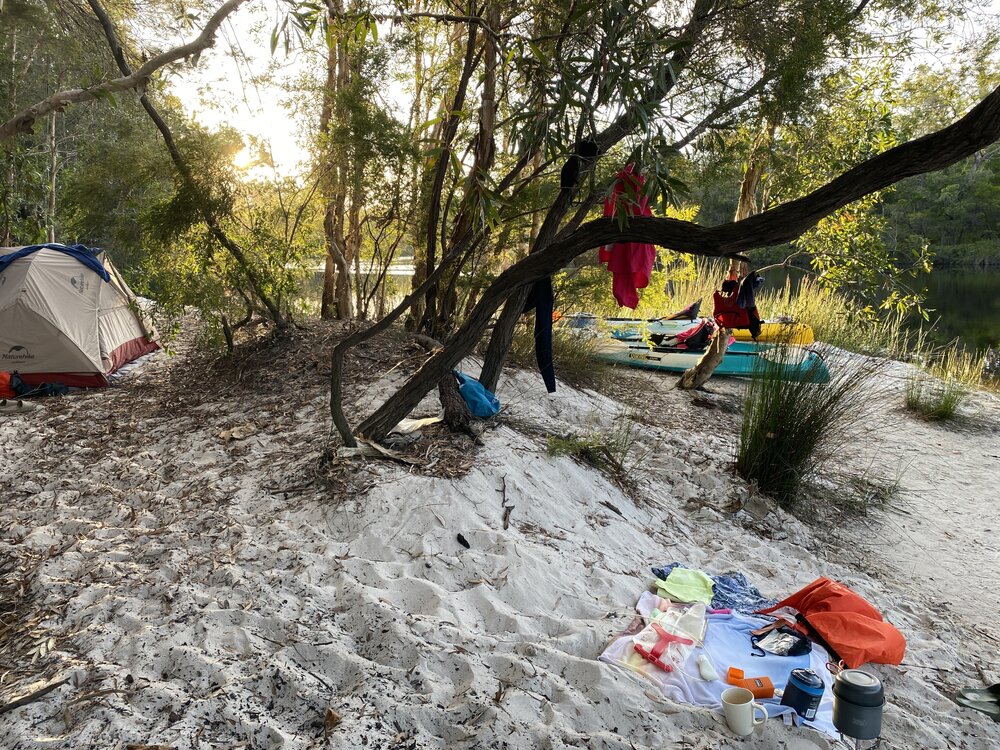 Campsite 13, Noosa River,  Great Sandy National Park, Cooloola, 10 December 2025