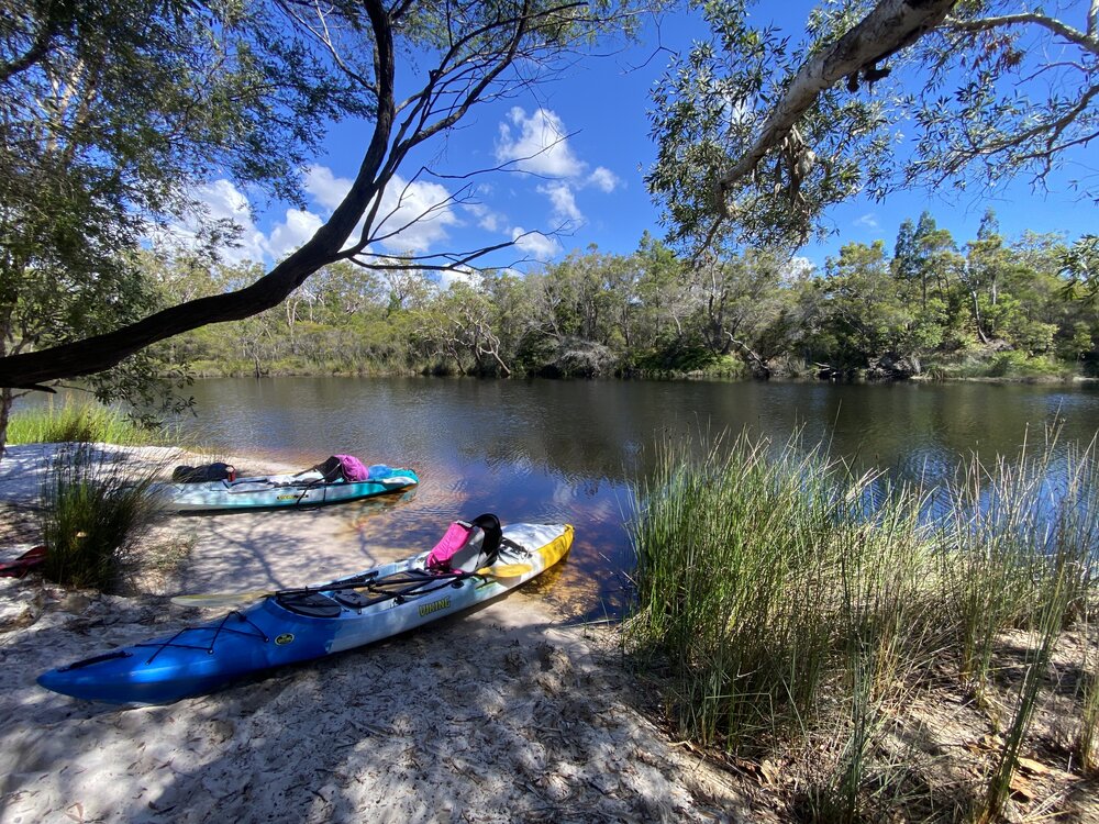 Landed, campsite 13, Noosa River,  Great Sandy National Park, Cooloola, 10 December 2025