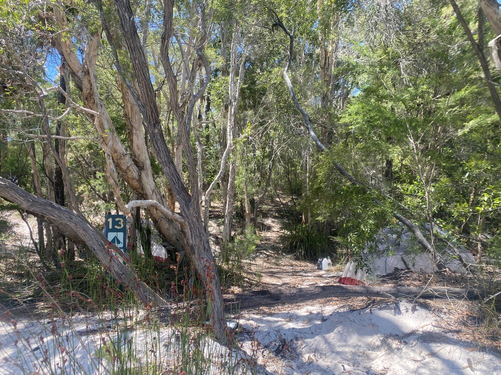 Campsite 13, Noosa River,  Great Sandy National Park, Cooloola, 10 December 2025