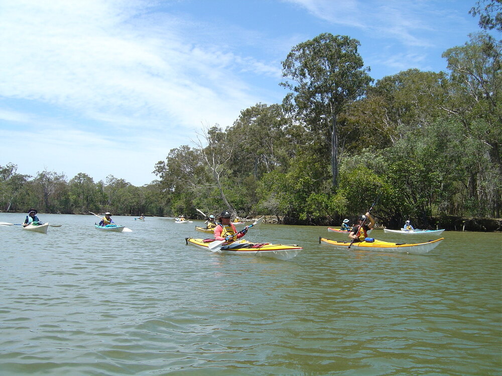 Kayakers, Noosa River, 1 November 2003