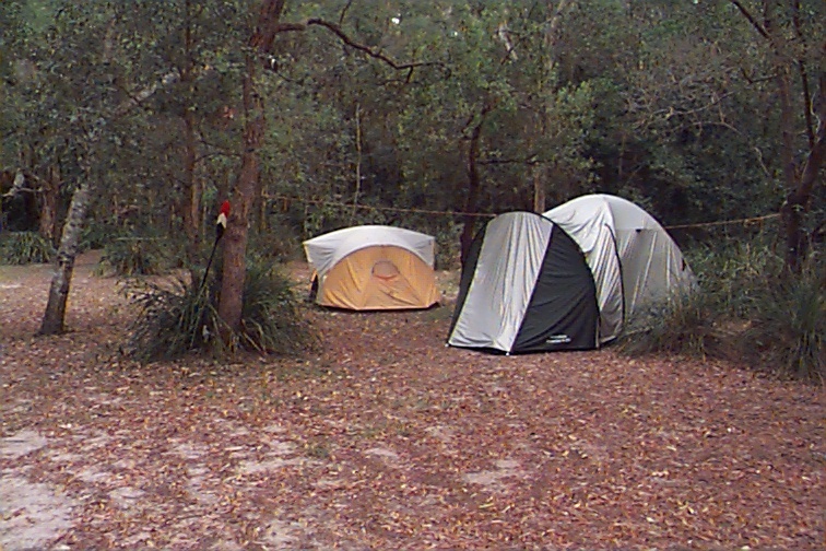 Camp site, Fig Tree Point, Noosa River,  Great Sandy National Park, Como, October 2001