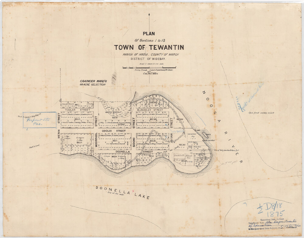 Map, Town of Tewantin, Parish of Noosa, 1875