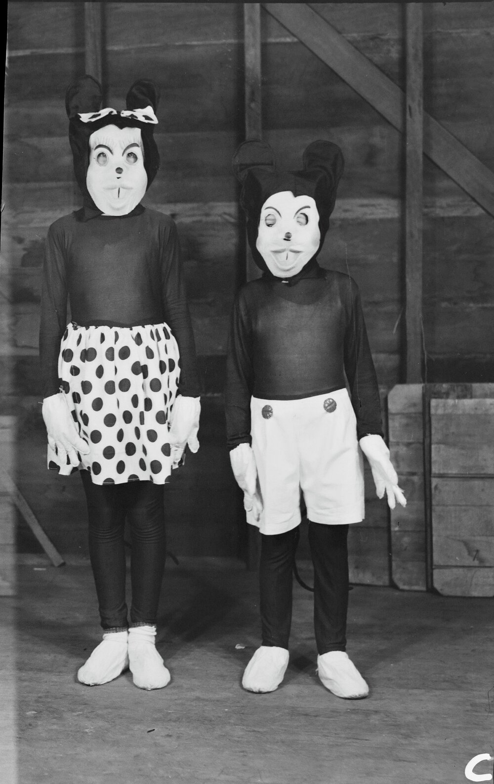Participants, Children's Fancy Dress Ball, Tewantin, 1954