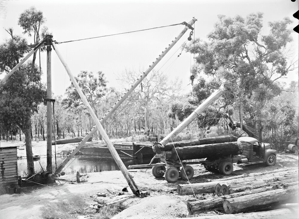 Timber loading crane poles, Noosa North Shore, 1954