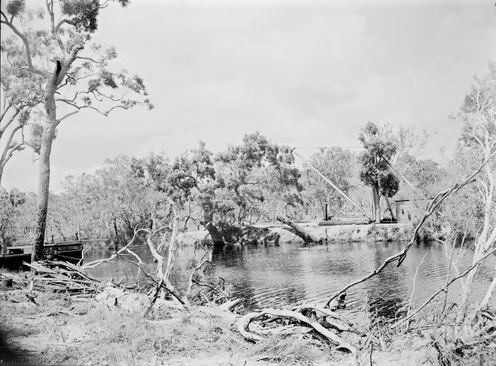 River Camp, Noosa North Shore, 1954