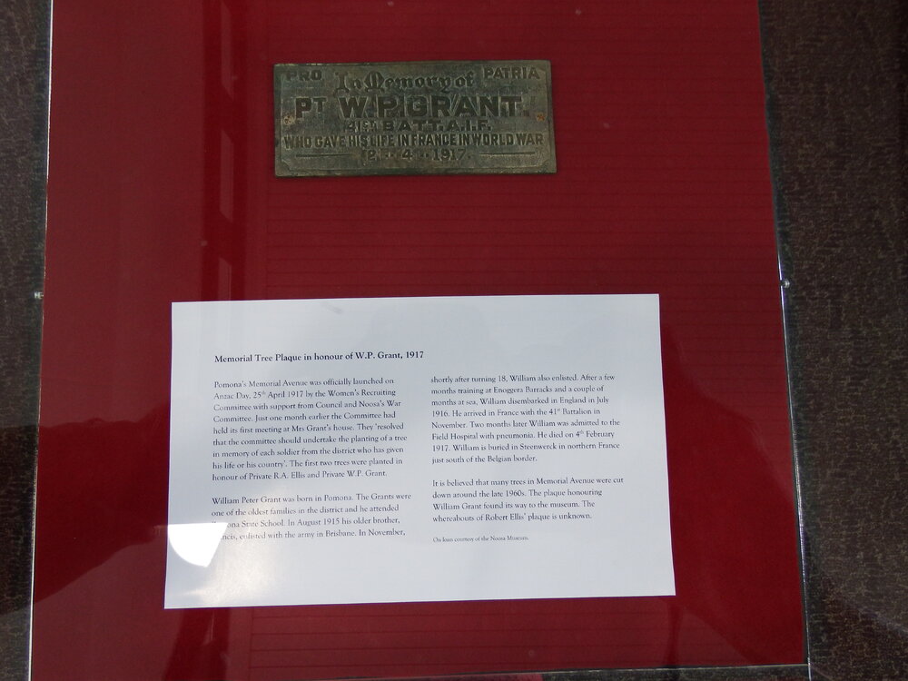 Memorial Tree Plaque, Noosa's War Front Exhibition, Noosaville Library, Noosaville, 20 November 2015