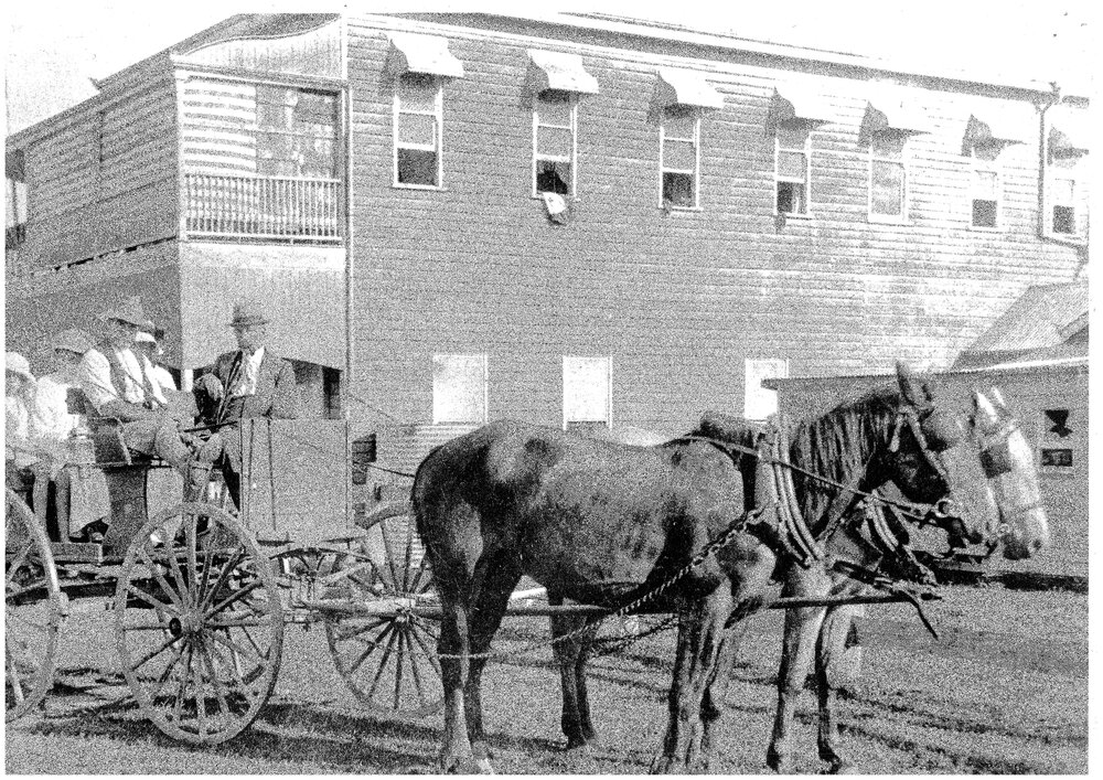 Horse and buggy, Tewantin, ca 1900s