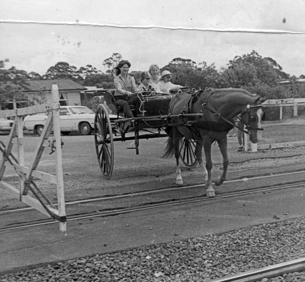 Horse-drawn cart, Cooroy railway crossing, 1984