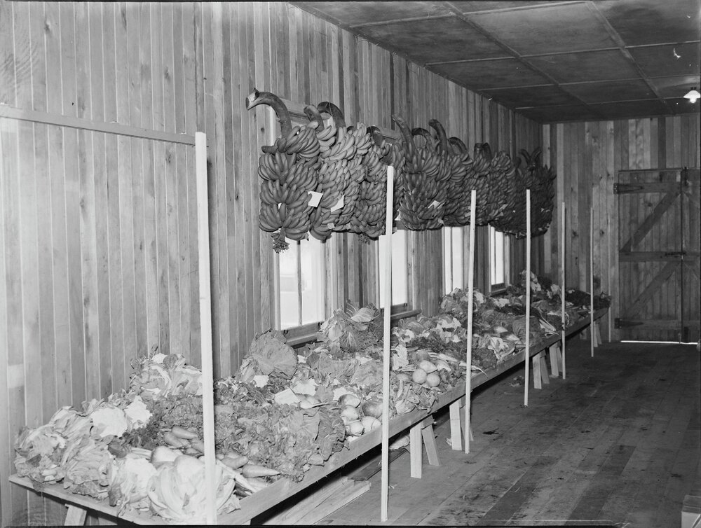 Fruit &amp; Vegetables exhibit, Noosa Show, Pomona Showgrounds, Pomona, 1955