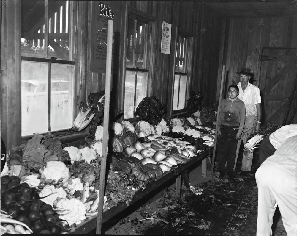 G. Kerridge fruit &amp; vegetables exhibit, Noosa Show, Pomona Showgrounds, Pomona, 1964