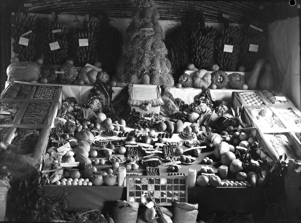Fruit &amp; vegetables exhibit, Noosa Show, Pomona Showgrounds, Pomona, 1947