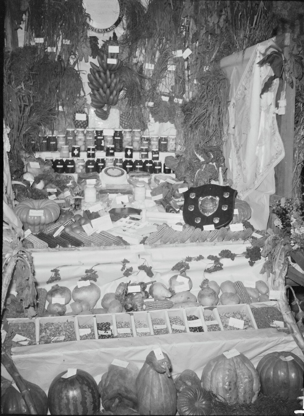 Produce exhibit, Noosa Show, Pomona Showgrounds, Pomona, 1952