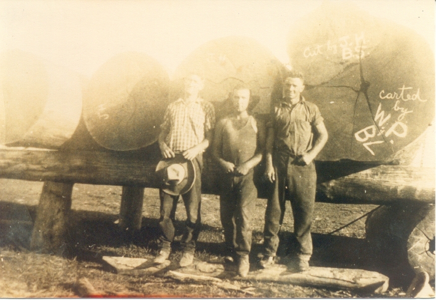 Jack Hempsall, Bill Parry and Bob Snell, Kin Kin(Source: supplied by Cooroora Historical Society)