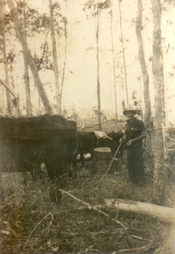 Timber carter, William (Bill) Parry, Kin Kin