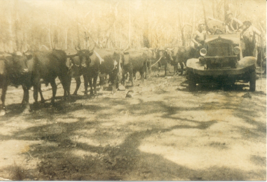 Old and the new, logging transport, Kin Kin