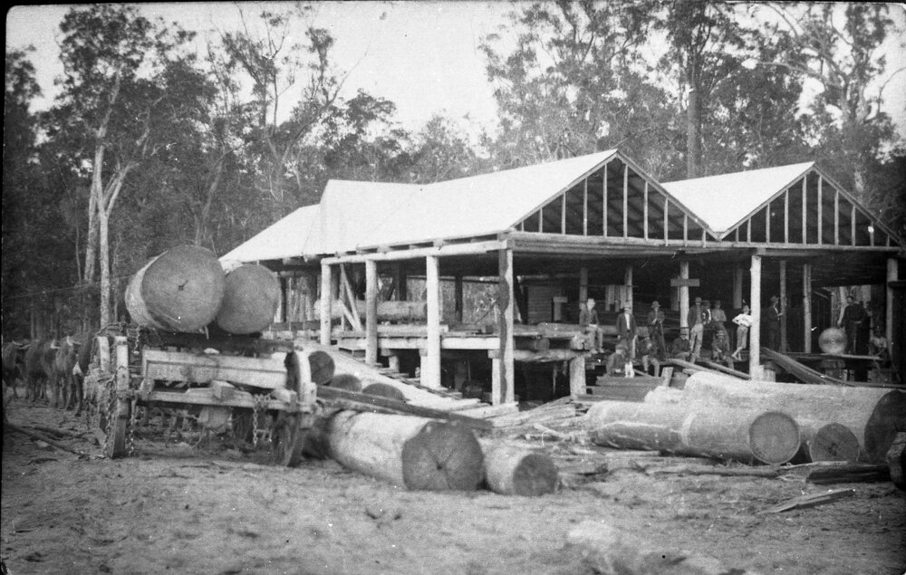 Possibly Fenwick Bros. and Morrish Sawmill workers, Cooroy, ca 1920s