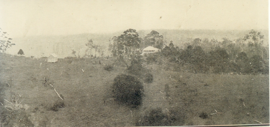 Farmland, Cootharaba Range, Cootharaba, 1931
