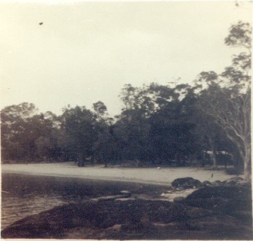 Shoreline, Lake Cootharaba, Boreen Point, ca 1958