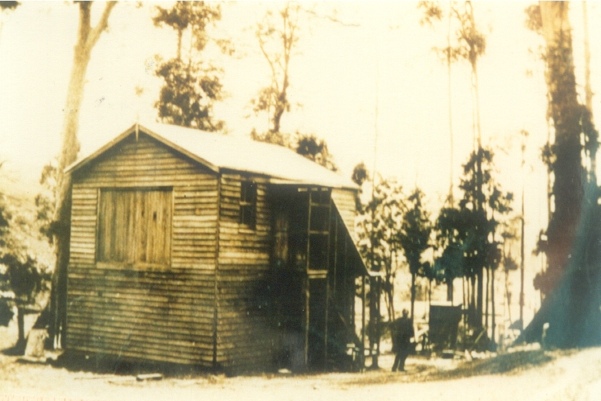 Dwelling, Daly Family, Moran Group Settlement,  Kin Kin