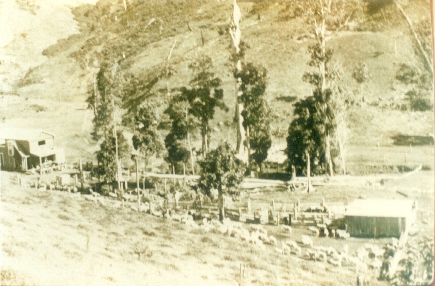 Alf Francis Farm 'Lone Pine,'  Moran Group Settlement, Kin Kin
