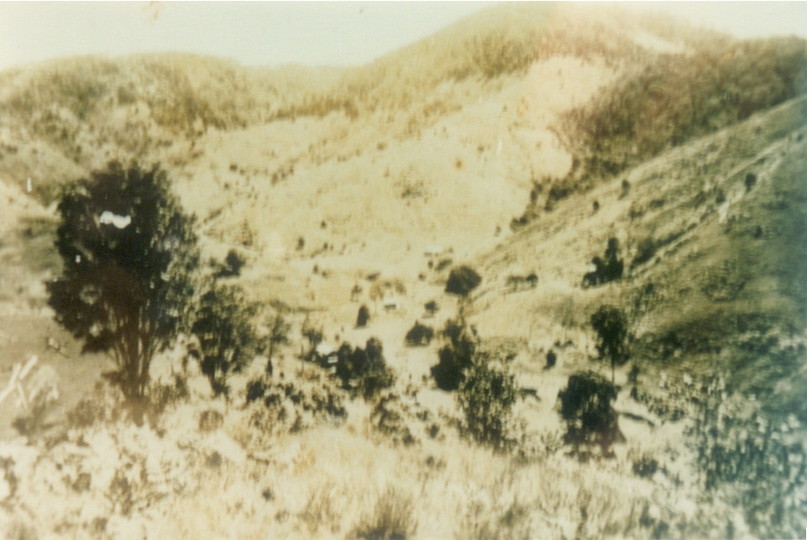 Dwellings, Alf Francis farm 'Lone Pine,'  Moran Group Settlement, Kin Kin