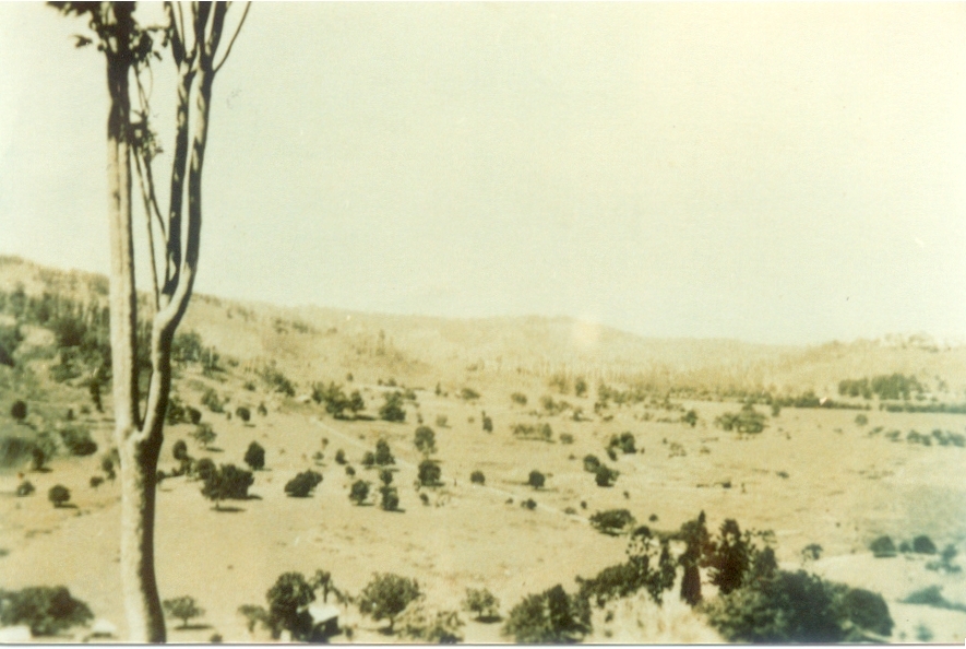 'Gentle Annie' and Moran Group area, Kin Kin