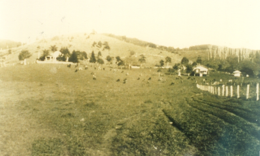 Dwellings, Alf Francis Farm 'Lone Pine,'  Moran Group Settlement, Kin Kin
