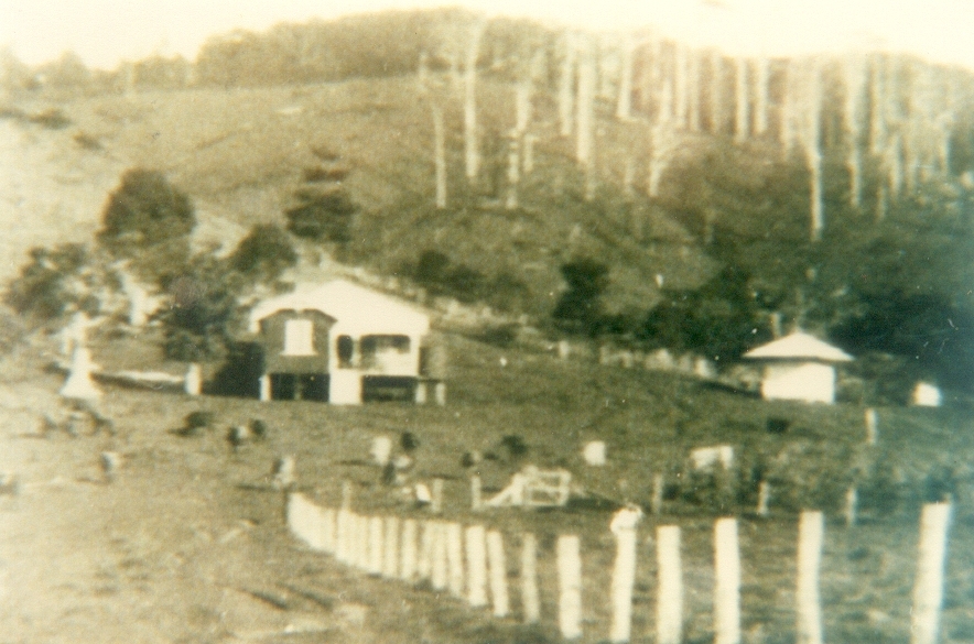 Dwelling, Daly Family, Moran Group Settlement,  Kin Kin